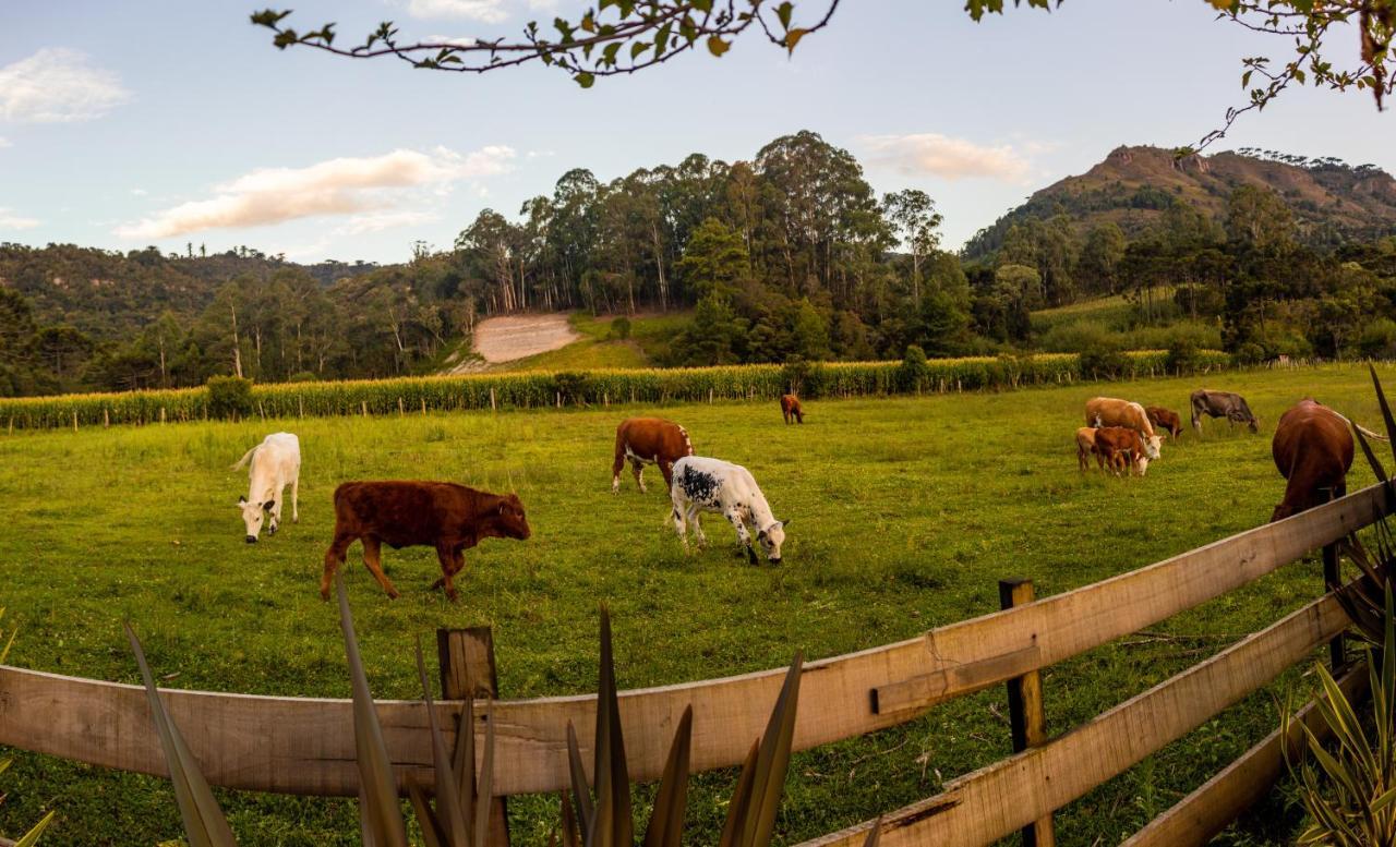 Hospedagem Rural Recanto Do Riacho Урубісі Екстер'єр фото
